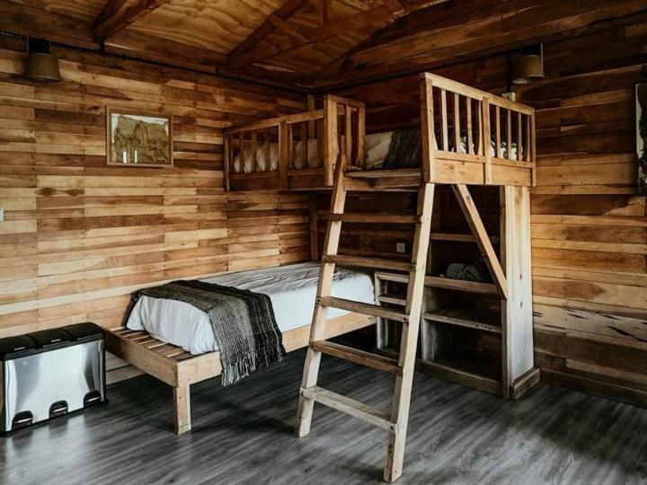 Estancia Bonanza Patagonian Lodge Experience إل تشالتين المظهر الخارجي الصورة